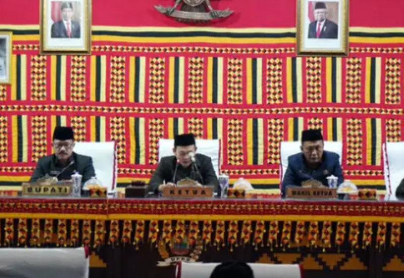 Paripurna DPRD Lamsel, Sekda Sampaikan Materi RPJMD 2025-2045
