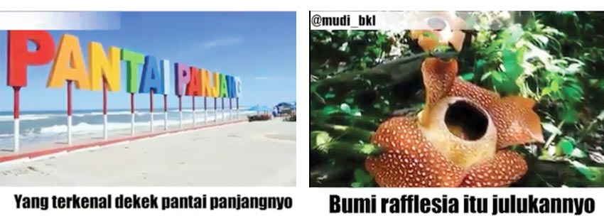 pict 2