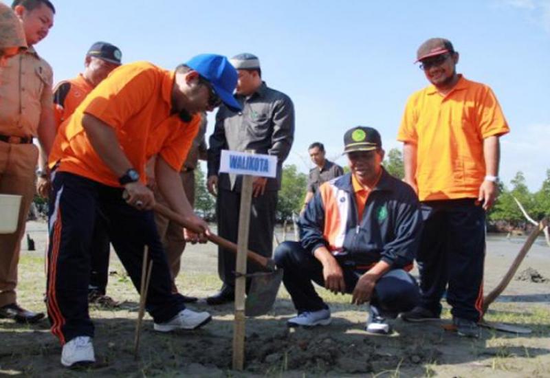 Walikota Bengkulu H. Helmi Hasan saat penanaman mangrove kerjasama CSR Pertamina dan Universitas Muhammadiyah Bengkulu (UMB)