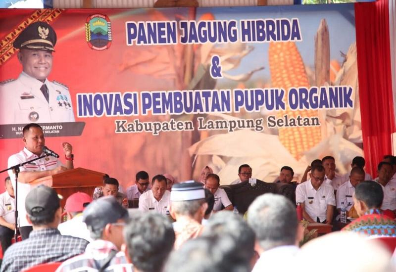 Bupati Lampung Selatan Nanang Ermanto menghadiri acara Panen Raya   Jagung jenis hibrida varietas advanta 123 yang berlangsung di Dusun Candirejo, Desa   Titiwangi, Kecamatan Candipuro, pada Rabu (10/8).