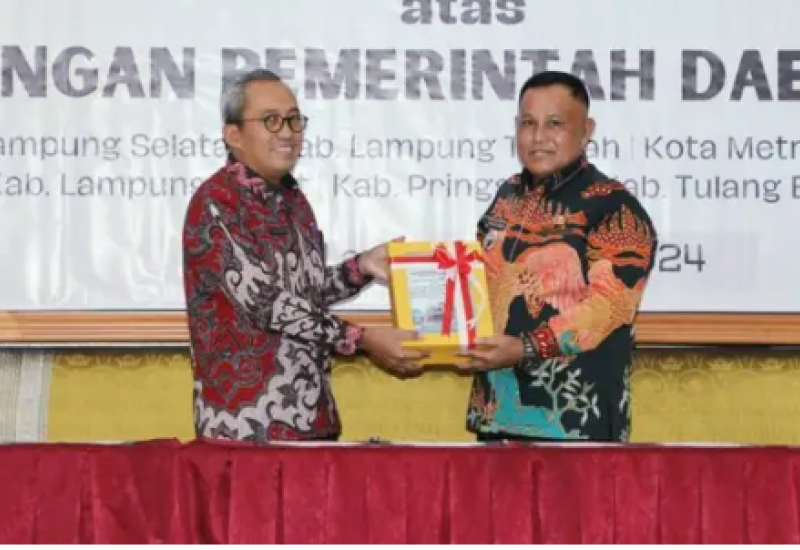 8 Tahun Berturut-turut Pemkab Lampung Selatan Raih Opini WTP dari BPK