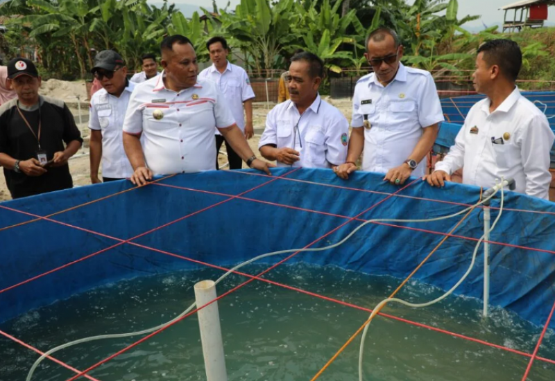 Bupati Lampung Selatan Nanang Ermanto Apresiasi Budidaya Benur dan Udang Vaname 