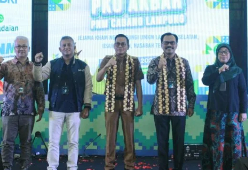 Dorong UMKM Berkembang, Pemkab Lampung Selatan Apresiasi PT PNM 