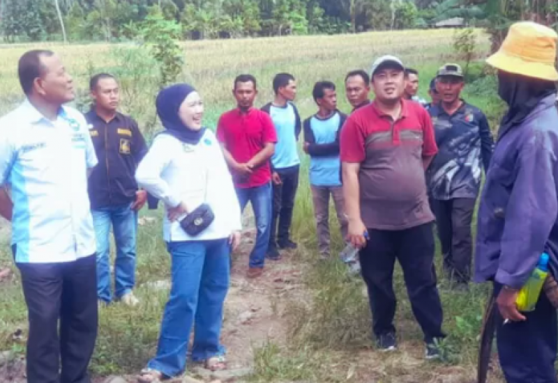 Wakil Ketua III DPRD Lamsel Bella Jayanti Tinjau Jembatan Rusak di Desa Tajimalela
