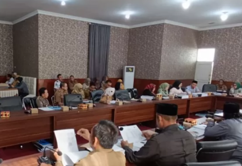 Banggar DPRD Lampung Selatan dan TAPD Gelar Rapat, Wakil Ketua I Merik Havit Sampaikan Kritik Ini