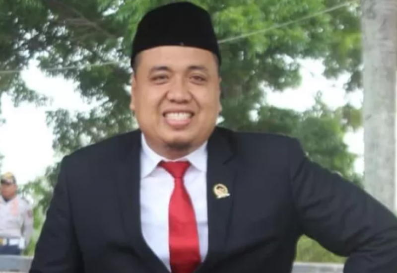 Wakil Ketua I DPRD Lampung Selatan Merik Havit Kritik Jabatan Eselon II Banyak Diisi Plt