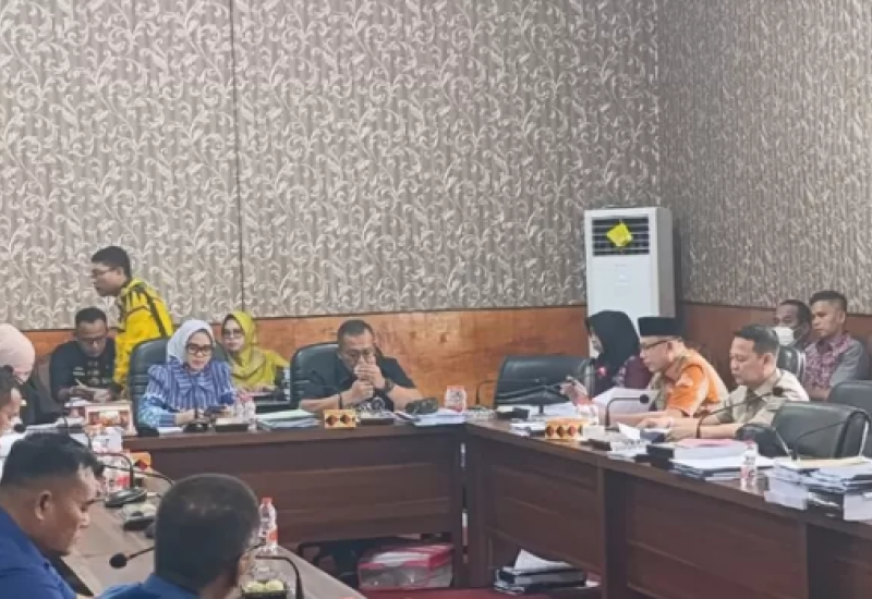 Harus Dianggarkan, DPRD Desak TAPD Tambah Mobil Damkar di Lampung Selatan